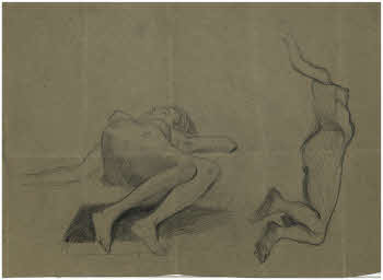 Visualizza l'immagine "FD D 1195"